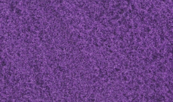 Pollen - Purple T4648