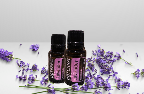 Essential Oil -  Lavender