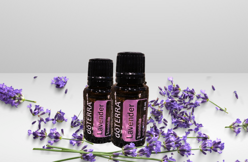 Essential Oil -  Lavender