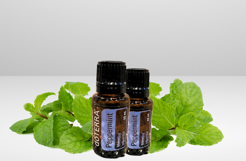 Essential Oil - Peppermint