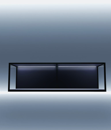 Moduspace: A display setup Desired by every Collector!