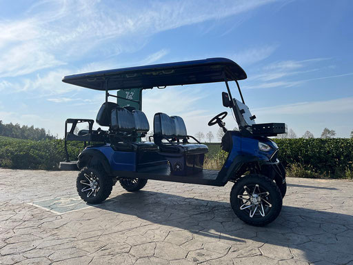 Vitacci T60 DLX 6 Seat Golf Cart, EZGo Golf Cart, Cheap golf cart