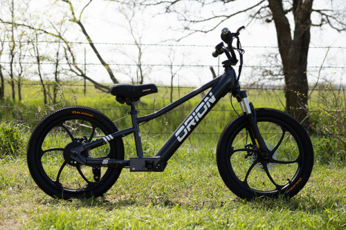 Orion e20S - 20" Wheel 500W 48V Electric Balance Bike - FREE SHIPPING