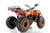 Apollo Commander 200cc  AUTOMATIC ATV - Free Shipping & Fully Assembled/Tested