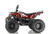 Apollo Commander 200cc  AUTOMATIC ATV - Free Shipping & Fully Assembled/Tested