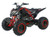 Vitacci/Pentora 200cc EFI Sport ATV - Free Shipping & Fully Assembled/Tested