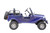 Classic Thunderbird 125cc Mini Jeep - Free Shipping, Fully Assembled, Tested