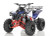Apollo Sportrax 125cc  AUTOMATIC ATV - Free Shipping & Fully Assembled/Tested