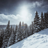 Best Ski Runs in Vail: A Local's Guide to Vail Mountain 
