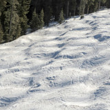 Types of Skiing You Can Do in Vail, Colorado