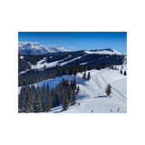 Front Side vs Back Bowls: Where Should You Ski at Vail? 