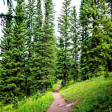Mountain Biking in Vail: A Local's Guide to the Best Trails