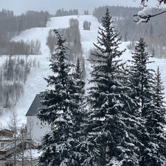 Beyond the Slopes: Fun Things to Do in Vail (Even If You Don’t Ski)
