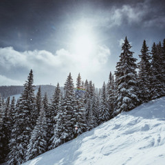 Best Ski Runs in Vail: A Local's Guide to Vail Mountain 