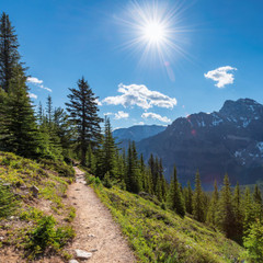 Best Hiking in Vail: A Local's Guide to Summer Trails 