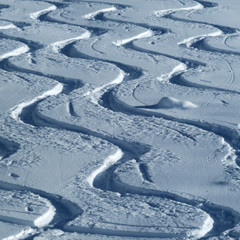 What Exactly Is Off-Piste Skiing? Definitions, Skill Levels, and Equipment Required 