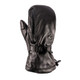 Women's Swany  Legend Mitten