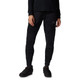 Polartec High Loft Pant
