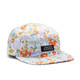 Brim Hat