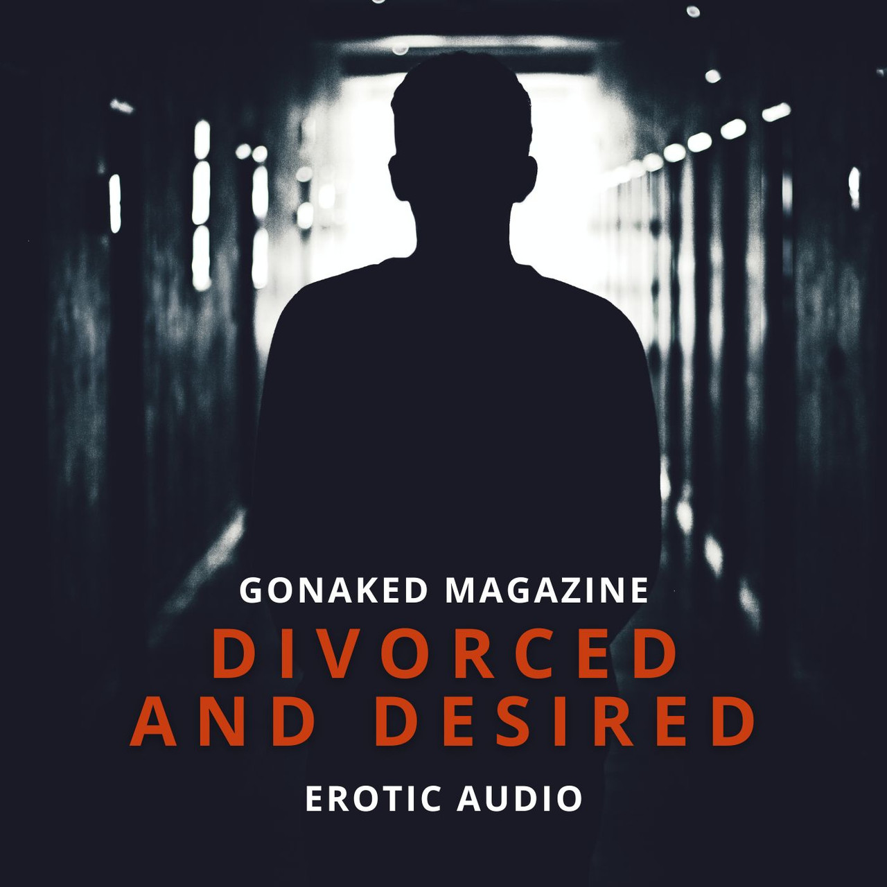 Divorced and Desired - Erotic Audio