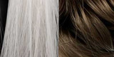 Human Hair Systems vs. Synthetic Hair Systems: Which One Is Right for Your Business?