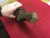 Winchester 1200 1300 1400 1500 Walnut Buttstock - 015
