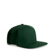 Stock Cap | 1100