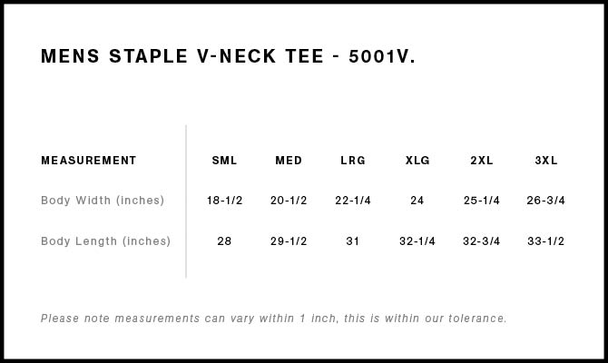 Staple V Neck Tee | 5001V 6