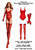 The Vixen glossy sheer nylon bodysuit stockings gloves 3 piece set  | Pearl & Poseidon