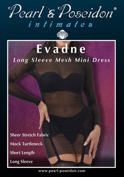 Evadne sheer micro mesh mock neck long sleeve mini dress | Pearl & Poseidon