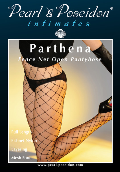 Parthena fence net open fishnet pantyhose tights | Pearl & Poseidon