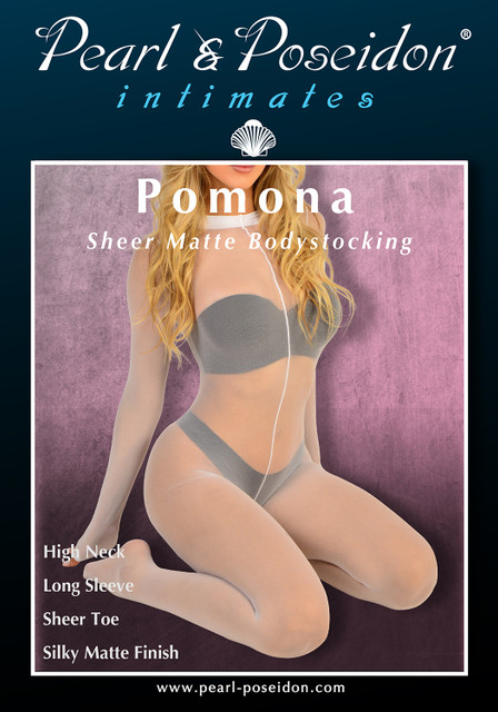 Transparent Sheer Full Nylon Bodystocking, Sheer Pantyhose Body Stocking, Pantyhose Body Suit, See Through Cat Suit, Full Body Pantyhose Bodystocking