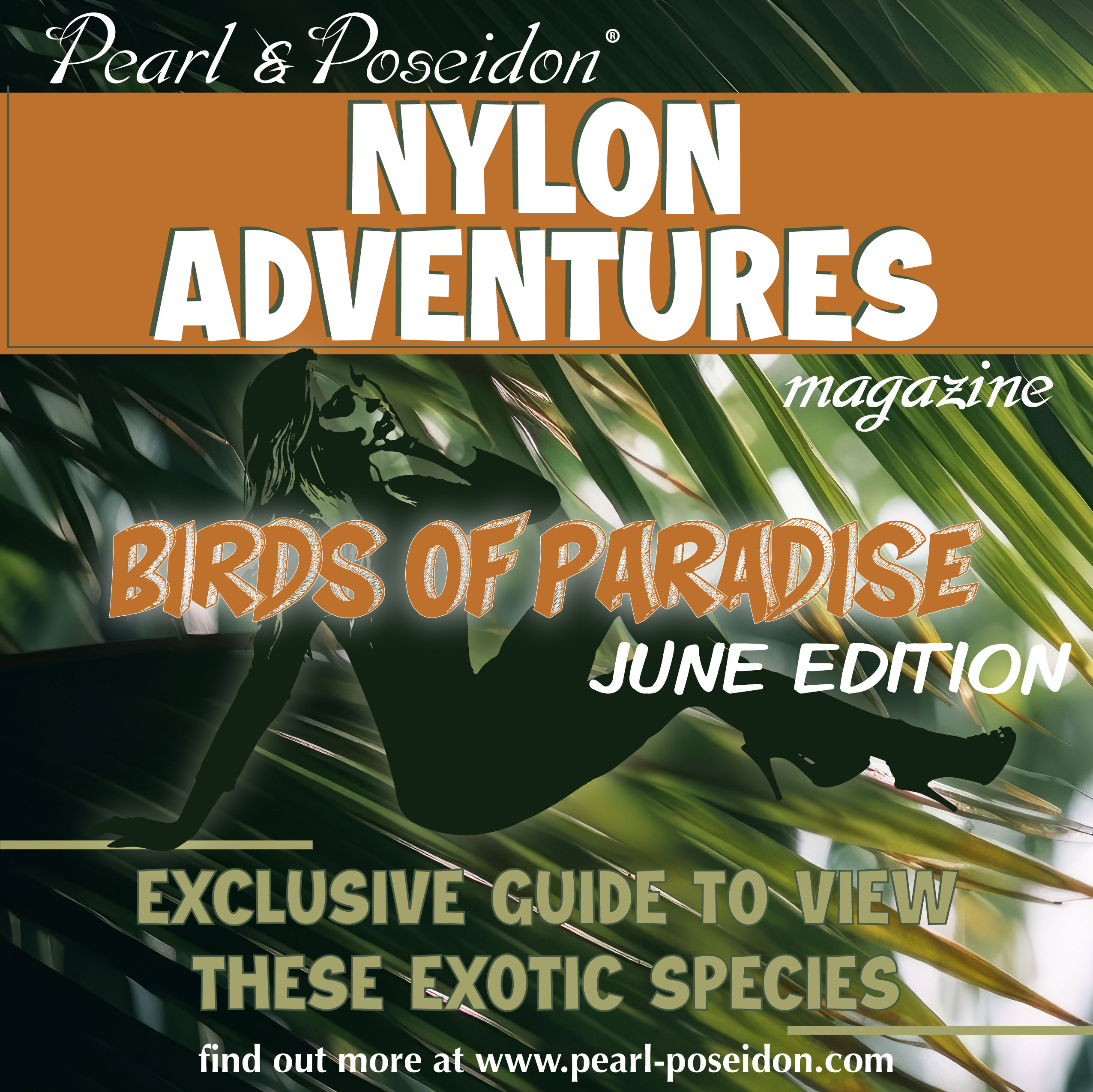 Birds of Paradise - June Edition
