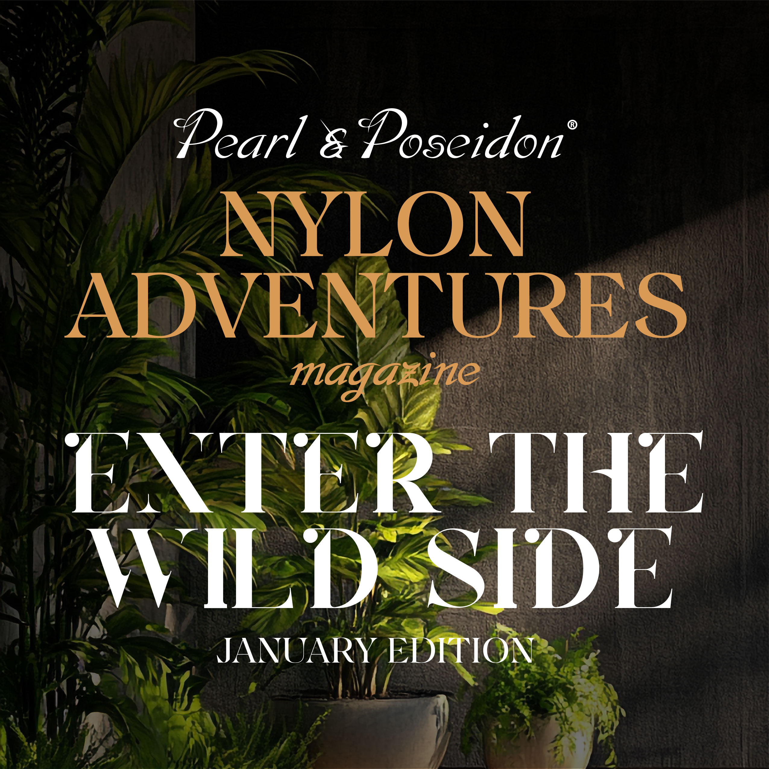 The Wild Side ~ January Edition