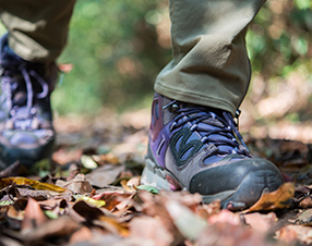 Hiking Shoes