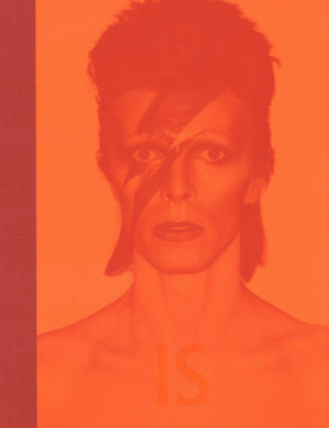 DAVID BOWIE-IS de Victoria Broackes et Geoffrey Marsh