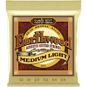 JEU DE CORDES GUITARE FOLK ERNIE BALL EARTHWOOD BRONZE MEDIUM LIGHT 12-54