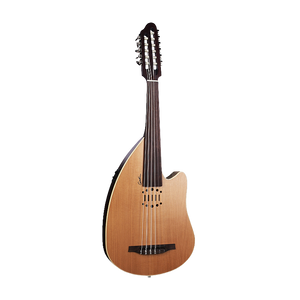 Autres Instruments à Cordes