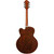 Guitare Demi-Caisse Jazz Ibanez PM3C-NAL