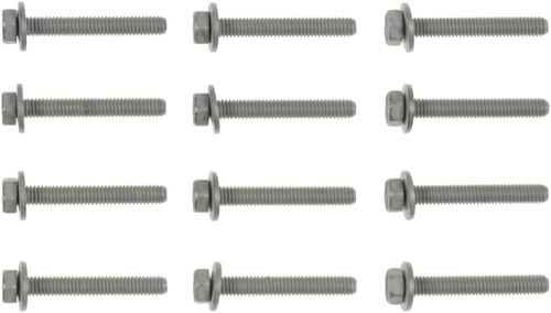 Reinz Intake Manifold Bolt Set 16-10002-01 for 1992-2003 Dodge/Jeep 3.9L 5.2L V6 (B150, B1500, B250, B2500)