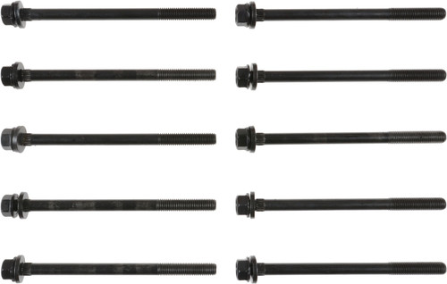 Reinz Cylinder Head Bolt Set 14-32241-01 for 2002-2008 Mini 1.6L L4 (Cooper)