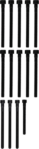 Reinz Cylinder Head Bolt Set 14-32315-01 for 2006-2013 BMW 3.0L 2.5L L6 (128i, 328i, 328i xDrive, 530i)