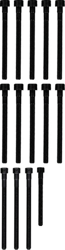 Reinz Cylinder Head Bolt Set 14-32315-01 for 2006-2013 BMW 3.0L 2.5L L6 (128i, 328i, 328i xDrive, 530i)