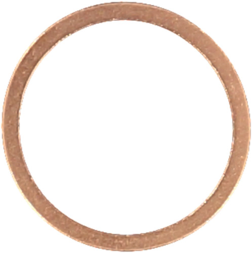 Reinz Oil Drain Plug Gasket 41-70166-00 for 2002-2020 BMW/Mercedes-Benz 4.4L 6.0L V8 (745i, 745Li, 760Li, 650i)