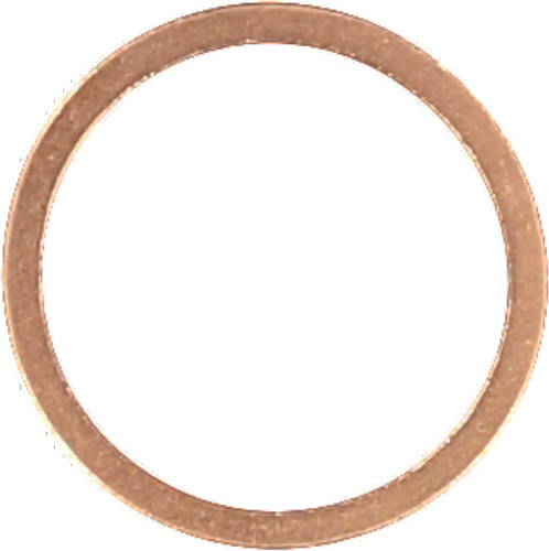 Reinz Oil Drain Plug Gasket 41-70166-00 for 2002-2020 BMW/Mercedes-Benz 4.4L 6.0L V8 (745i, 745Li, 760Li, 650i)