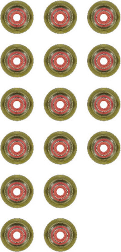 Reinz Valve Stem Seal Set 12-37281-01 for 2002-2023 BMW 4.4L 4.8L V8 (745i, 745Li, 650i, 750i)