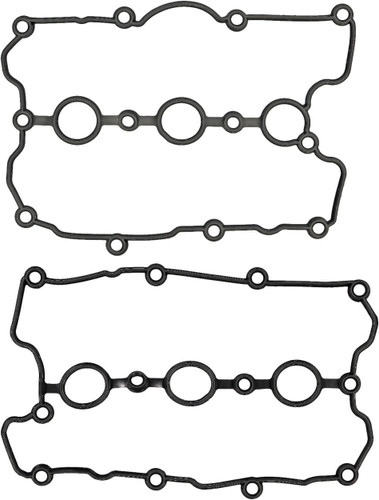 Reinz Valve Cover Gasket Set 15-10113-01 for 2008-2019 Audi/Volkswagen 3.0L 3.2L V6 (A7 Quattro, Q7, Q5, S4)