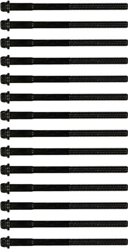 Reinz Cylinder Head Bolt Set 14-32001-01 for 1984-1993 BMW (525i, 325e, 325i)