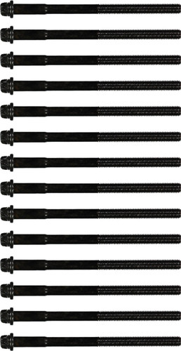 Reinz Cylinder Head Bolt Set 14-32001-01 for 1984-1993 BMW (525i, 325e, 325i)
