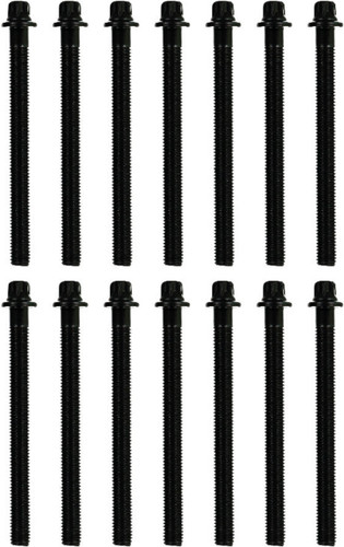Reinz Cylinder Head Bolt Set 14-32005-02 for 1988-2008 BMW (750iL, 850Ci, 850CSi, 850i)